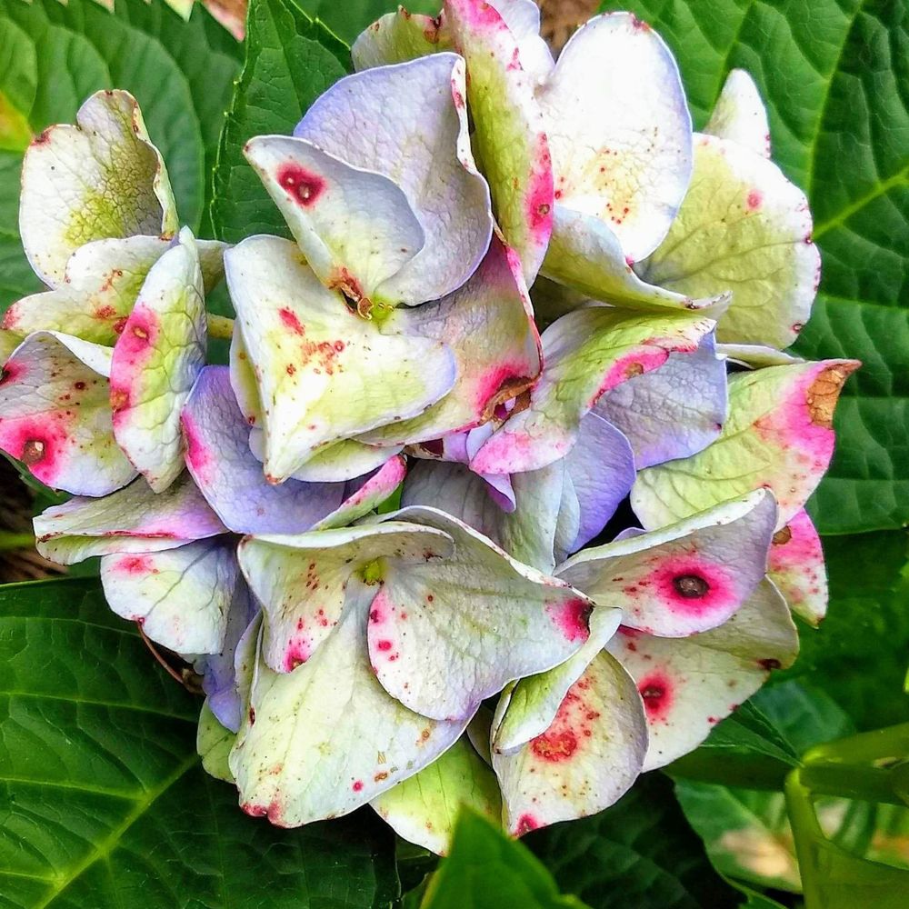 Meet your Posher, Aprilandterry